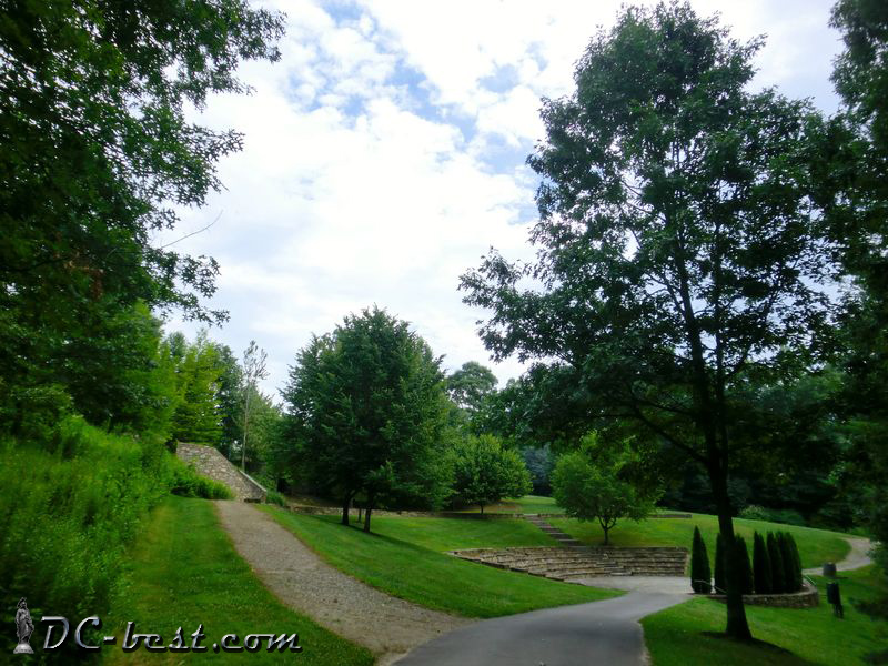 Полянка в North Carolina Arboretum