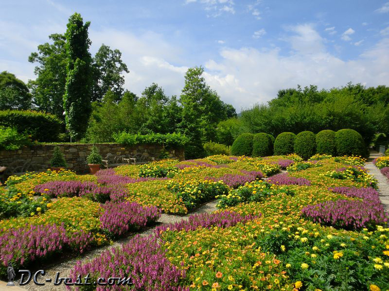 Цветочные клумбы в North Carolina Arboretum