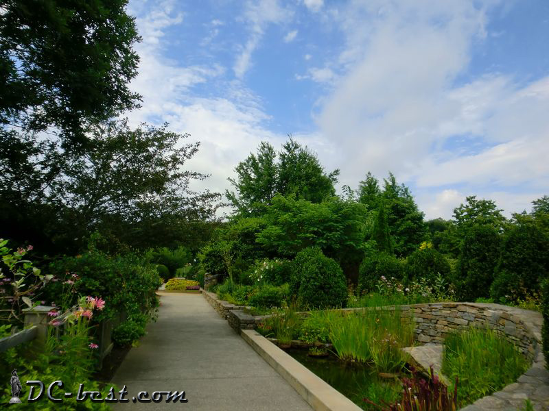 Миниатюрный пруд в North Carolina Arboretum