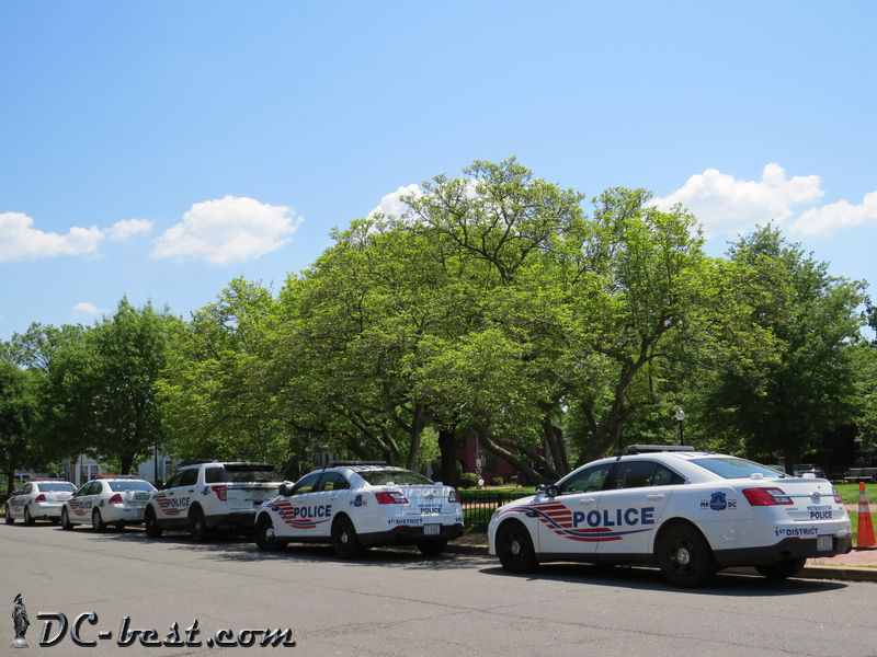 Полицейские машины на Seward Square