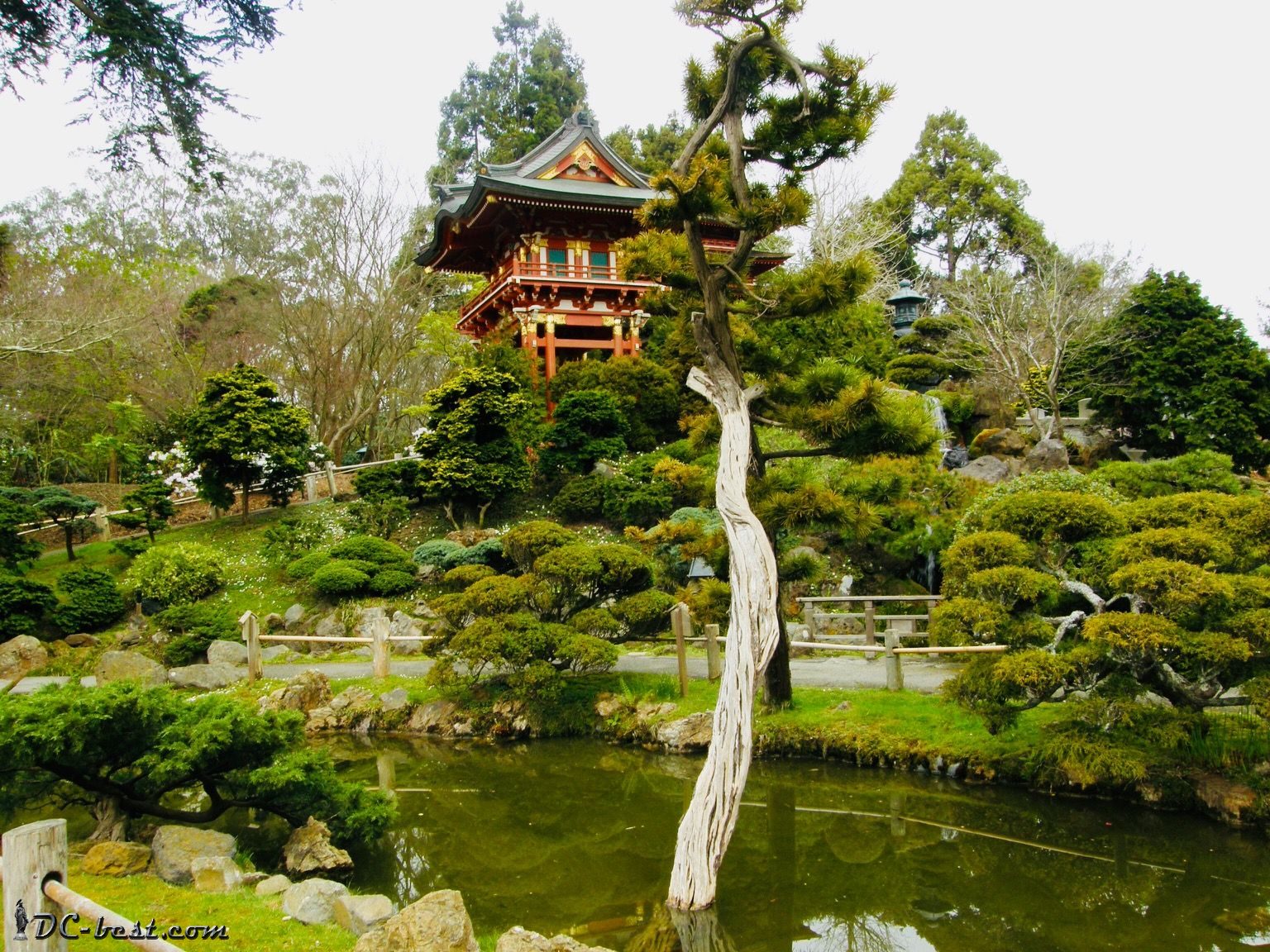 Japanese Tea Garden in Golden Gate Park. Японский чайный сад в парке Золотые Ворота.