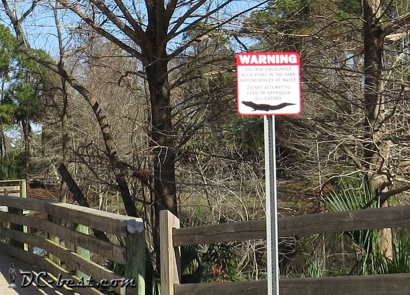 Предупреждение об аллигаторах в парке Флорид