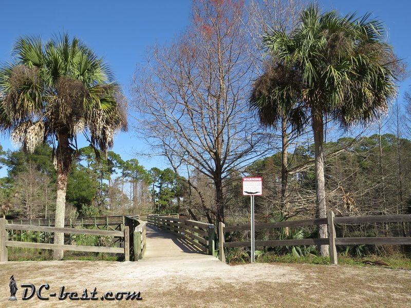 Предупреждение об аллигаторах в парке Флориды
